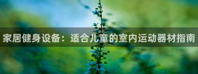 尊龙凯时邀请码：家居健身设备：适合儿童的室内运动器材