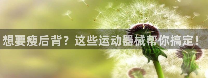 尊龙凯时充值不到账：想要瘦后背？这些运动器械帮你搞定