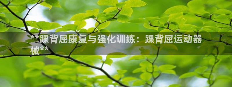 凯时国际app首页登录入口：**踝背屈康复与强化训练
