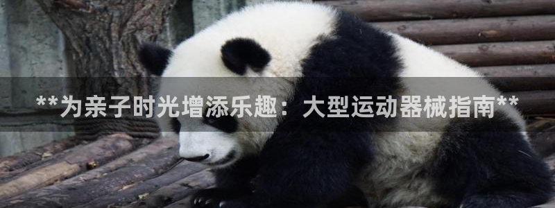 尊龙凯时产品种类：**为亲子时光增添乐趣：大型运动器