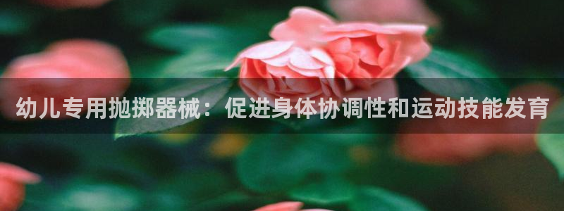 尊龙2020：幼儿专用抛掷器械：促进身体协调性和运动