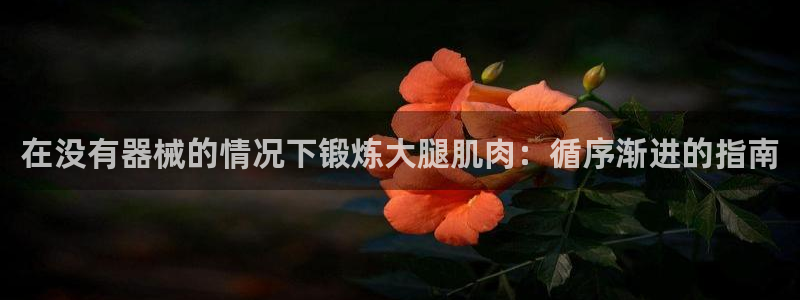 尊龙凯时游戏厅：在没有器械的情况下锻炼大腿肌肉：循序