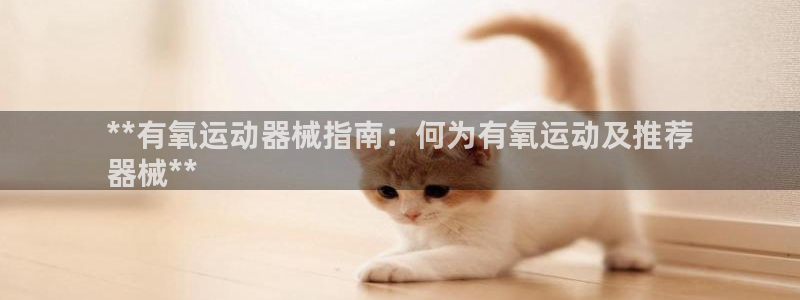 尊龙品牌怎么样：**有氧运动器械指南：何为有氧运动及