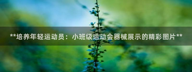 尊龙人生就是博网站：**培养年轻运动员：小班级运动会