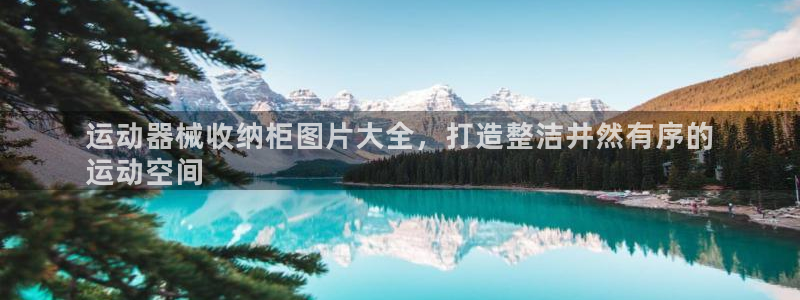 尊龙2021年最新消息：运动器械收纳柜图片大全，打造