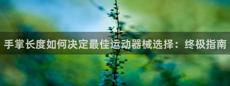 尊龙t500和t300区别：手掌长度如何决定最佳运动