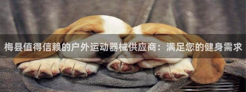 ag尊龙怎么样：梅县值得信赖的户外运动器械供应商：满