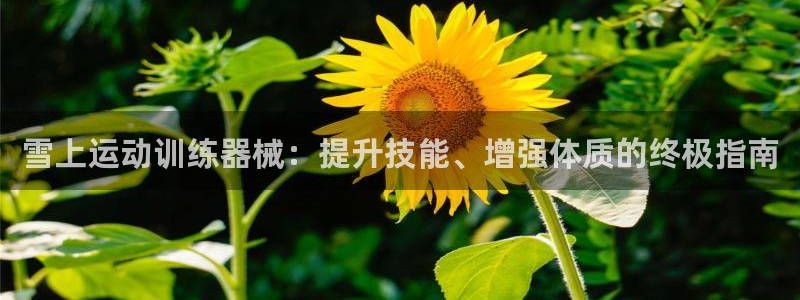 下载凯时AG旗舰厅首页：雪上运动训练器械：提升技能、