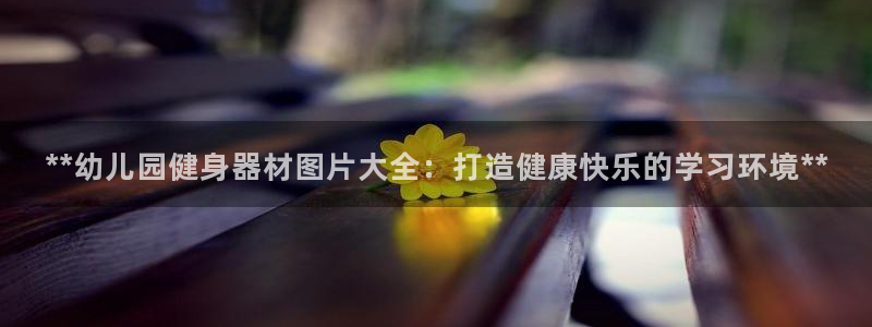 尊龙凯时账号异常审核提不了款怎么办：**幼儿园健身器