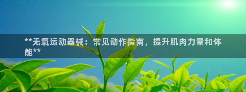 尊龙官方app下载：**无氧运动器械：常见动作指南，