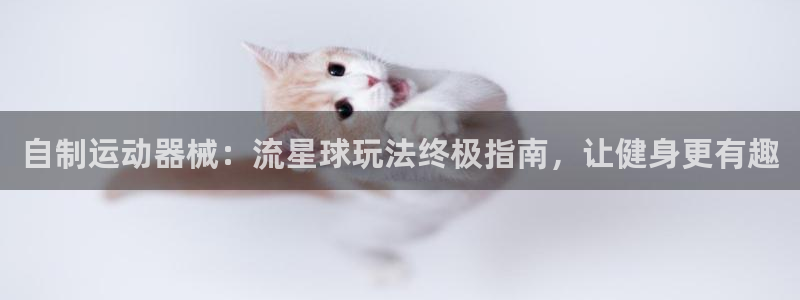 尊龙官网免费下载：自制运动器械：流星球玩法终极指南，