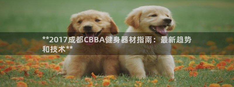凯时AG网：**2017成都CBBA健身器材指南：最