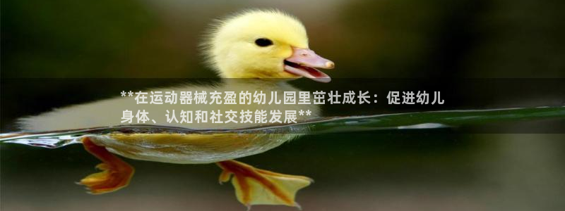 尊龙专访：**在运动器械充盈的幼儿园里茁壮成长：促进