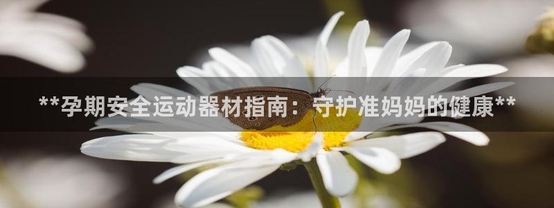 尊龙凯时人生就是搏平台：**孕期安全运动器材指南：守