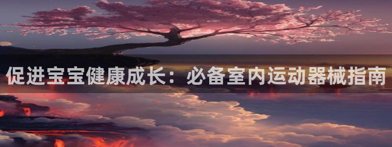 尊龙体育怎么样：促进宝宝健康成长：必备室内运动器械指南