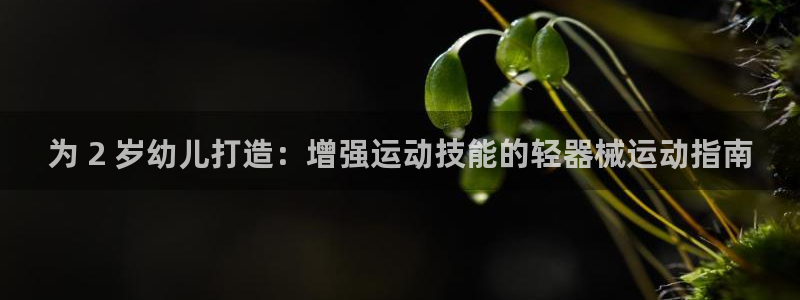 尊龙凯时网娱乐最新版下载：为 2 岁幼儿打造：增强运