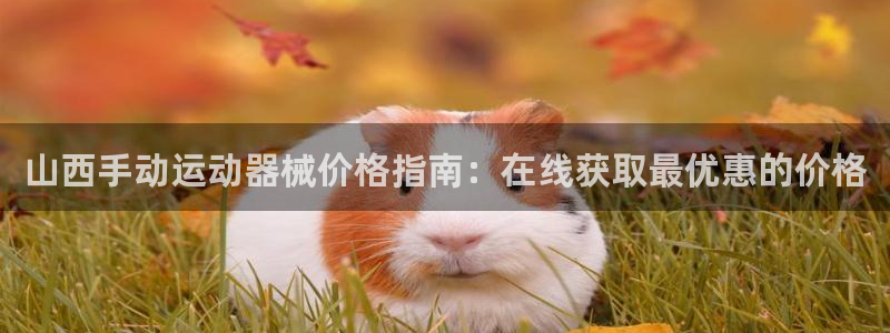 尊龙会ktv价格：山西手动运动器械价格指南：在线获取最优惠的