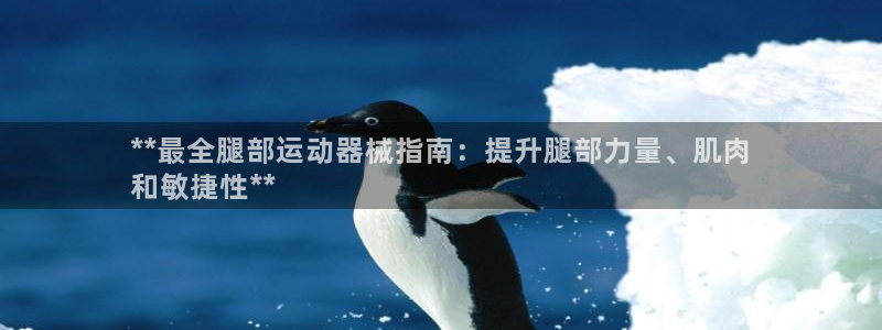 尊龙凯时人生就是博·(中国)官网最新：**最全腿部运