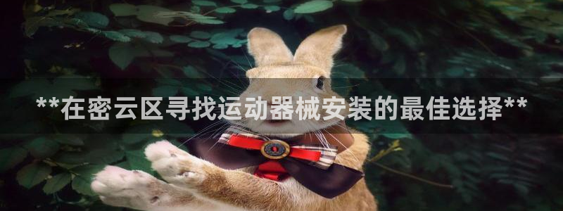 尊龙现金：**在密云区寻找运动器械安装的最佳选择**
