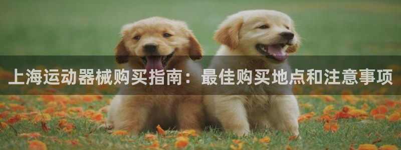 尊龙凯时产品种类：上海运动器械购买指南：最佳购买地点