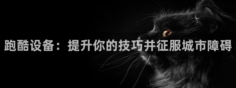 下载尊龙：跑酷设备：提升你的技巧并征服城市障碍