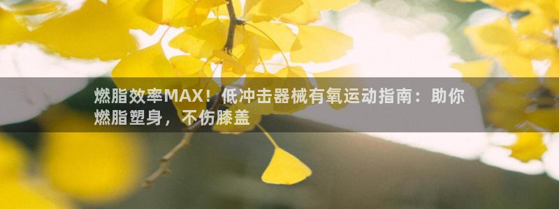 凯时ag旗舰厅登录：燃脂效率MAX！低冲击器械有氧运