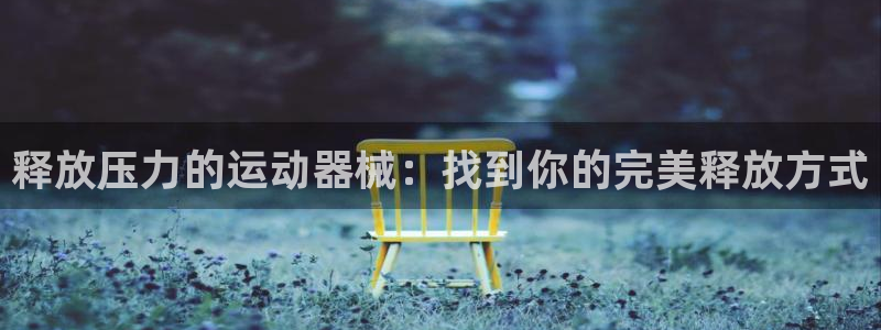 ZL尊龙凯时平台：释放压力的运动器械：找到你的完美释