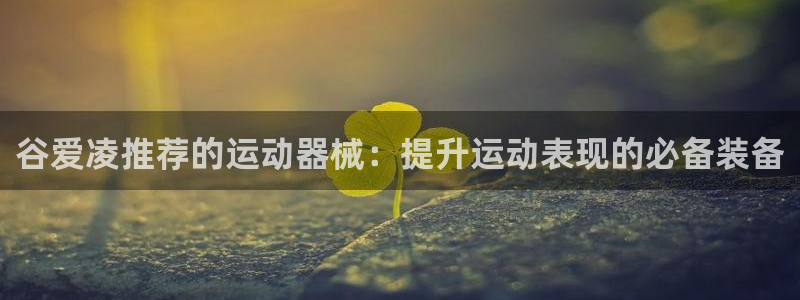 尊龙人生就是博登录准认来就送38：谷爱凌推荐的运动器