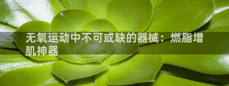 凯时K8国际：无氧运动中不可或缺的器械：燃脂增
肌神