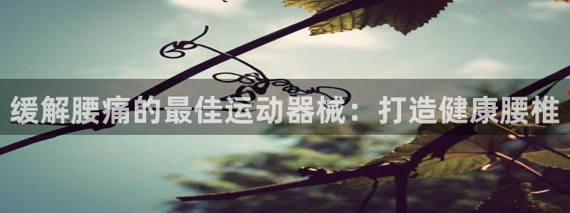 K66凯时国际平台官网：缓解腰痛的最佳运动器械：打造