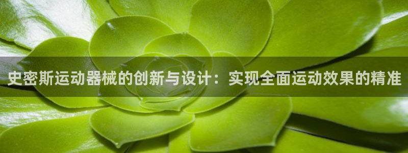 尊龙凯时logo