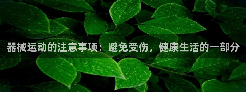新版尊龙99