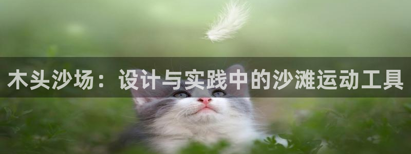 尊龙新版app首页