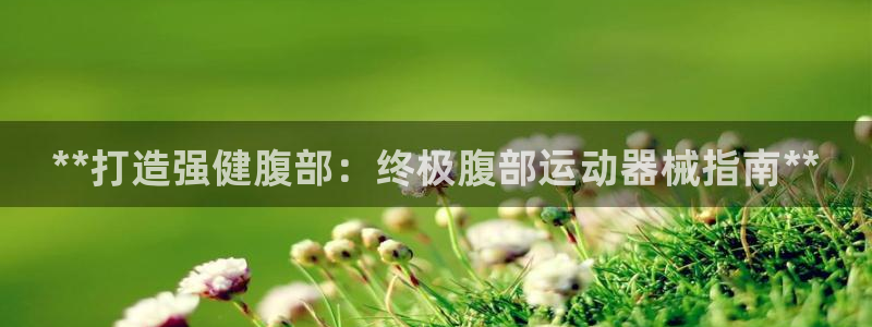 凯时K66最新版本下载：**打造强健腹部：终极腹部运