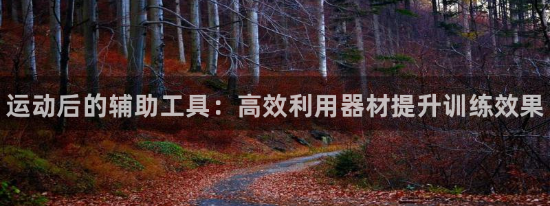 z6尊龙z6