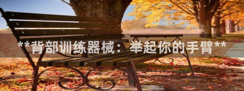 尊龙凯时集团：**背部训练器械：举起你的手臂**