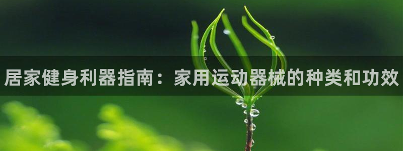 尊龙网站注册站注册：居家健身利器指南：家用运动器械的种类和功