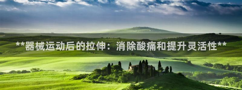 尊龙信息科技有限公司：**器械运动后的拉伸：消除酸痛