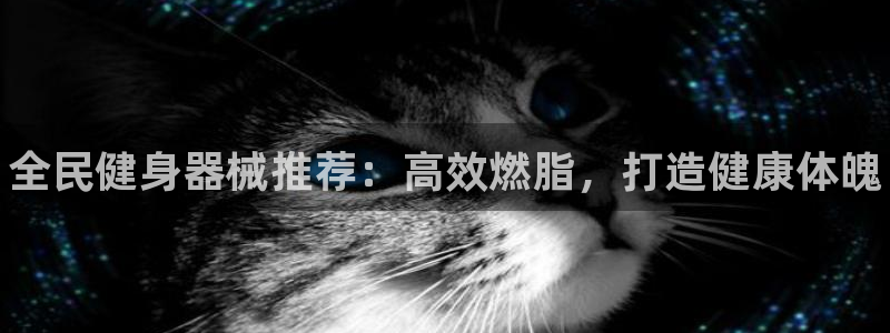尊龙官网在哪里：全民健身器械推荐：高效燃脂，打造健康