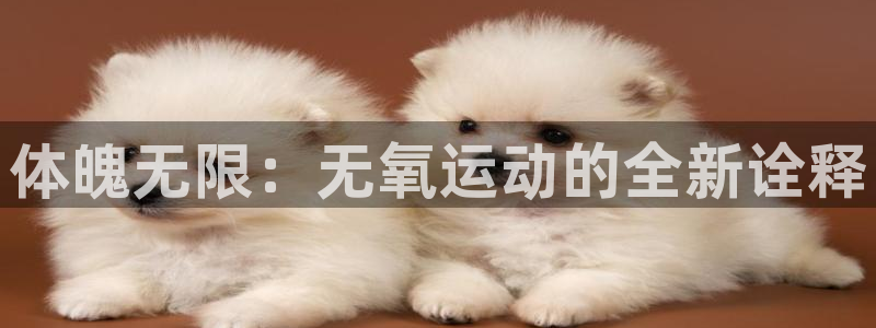 尊龙凯时官网入口：体魄无限：无氧运动的全新诠释