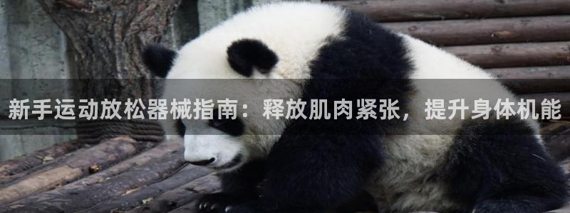 凯时官网的售后服务：新手运动放松器械指南：释放肌肉紧张，提升