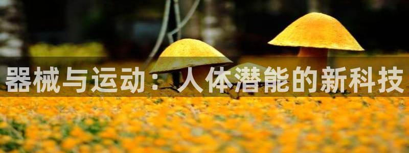 凯时登录首页,凯时K66