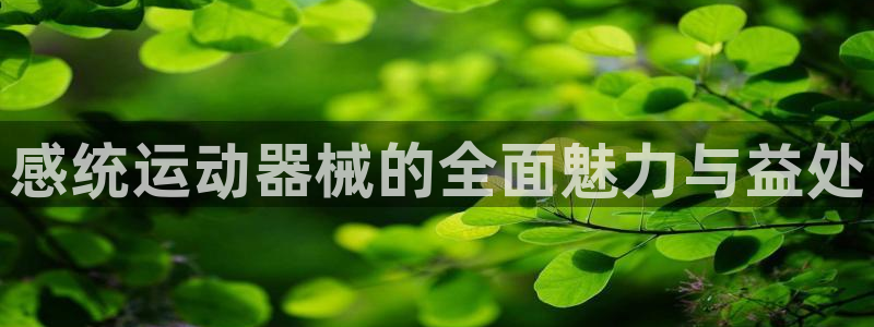 凯时k66官方发布