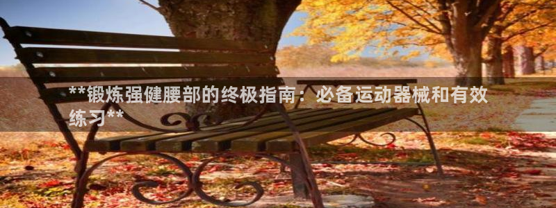 凯时游戏官方网站：**锻炼强健腰部的终极指南：必备运动器械和