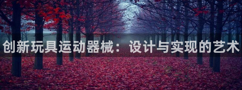 d88尊龙z6：创新玩具运动器械：设计与实现的艺术