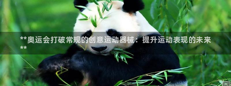 尊龙信息科技有限公司：**奥运会打破常规的创意运动器