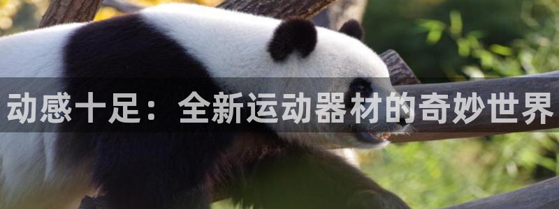 尊龙凯时发展历程：动感十足：全新运动器材的奇妙世界