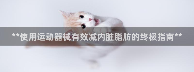 尊龙凯时网站网址：**使用运动器械有效减内脏脂肪的终