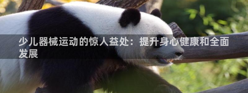 尊龙官网入口：少儿器械运动的惊人益处：提升身心健康和