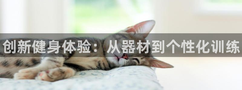 尊龙体育怎么样：创新健身体验：从器材到个性化训练